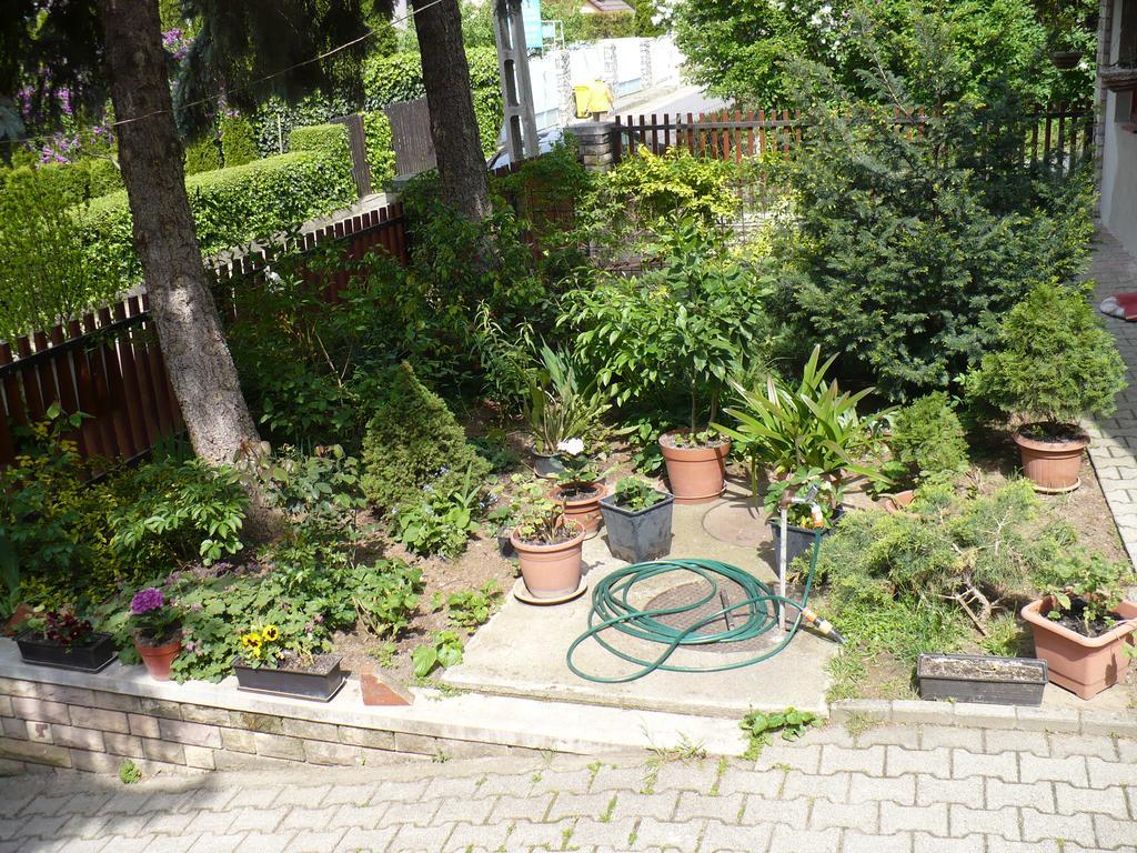 Ferienwohnung Kitty Apartman Miskolc Exterior foto
