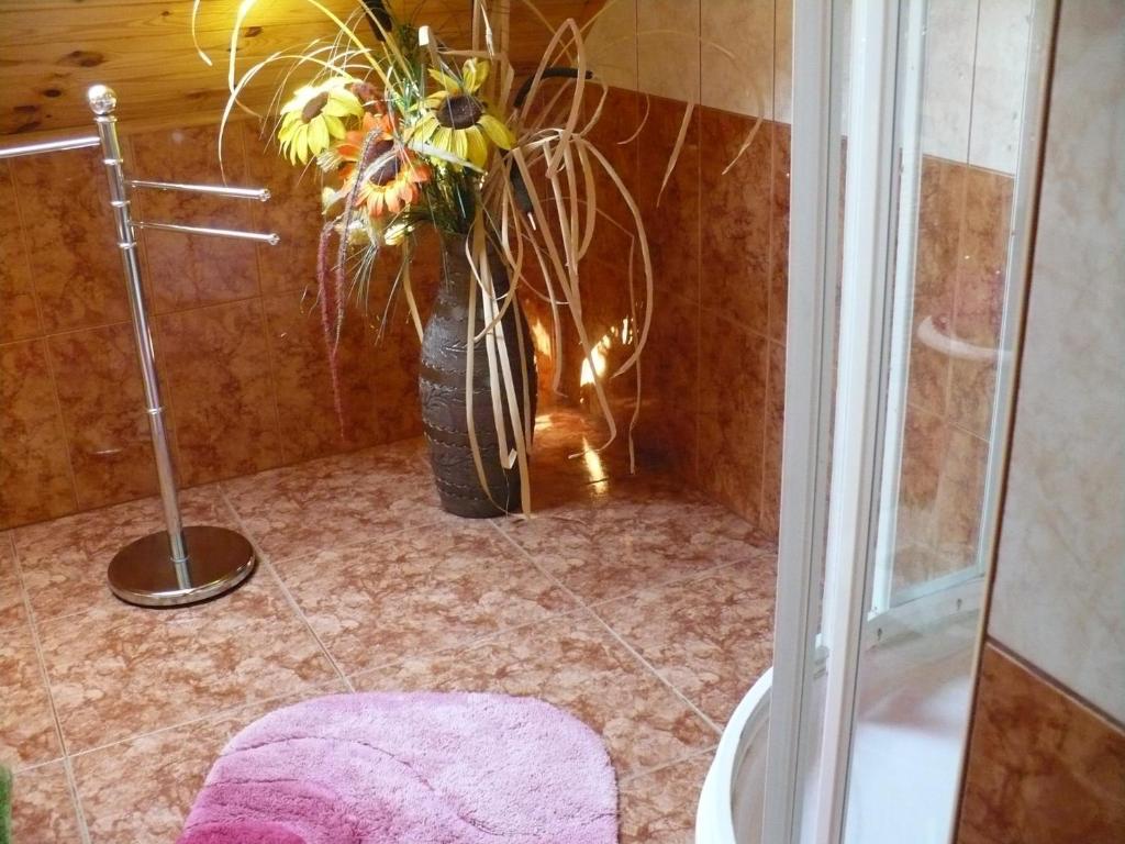 Ferienwohnung Kitty Apartman Miskolc Zimmer foto
